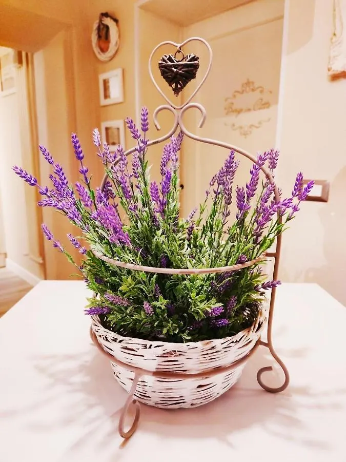 Borgo In Citta Apartment Pistoia